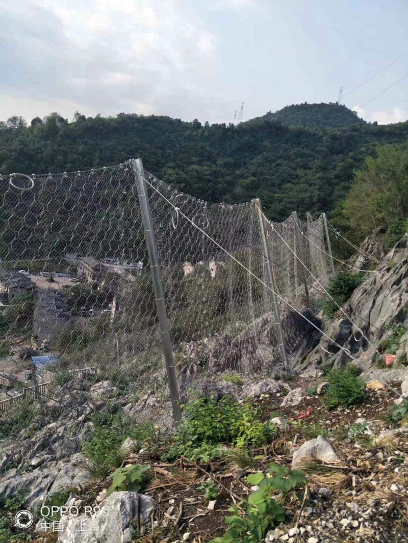 微信图片_20231129095840