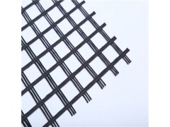 EGA50-50KN玻纤土工格栅生产厂家图1