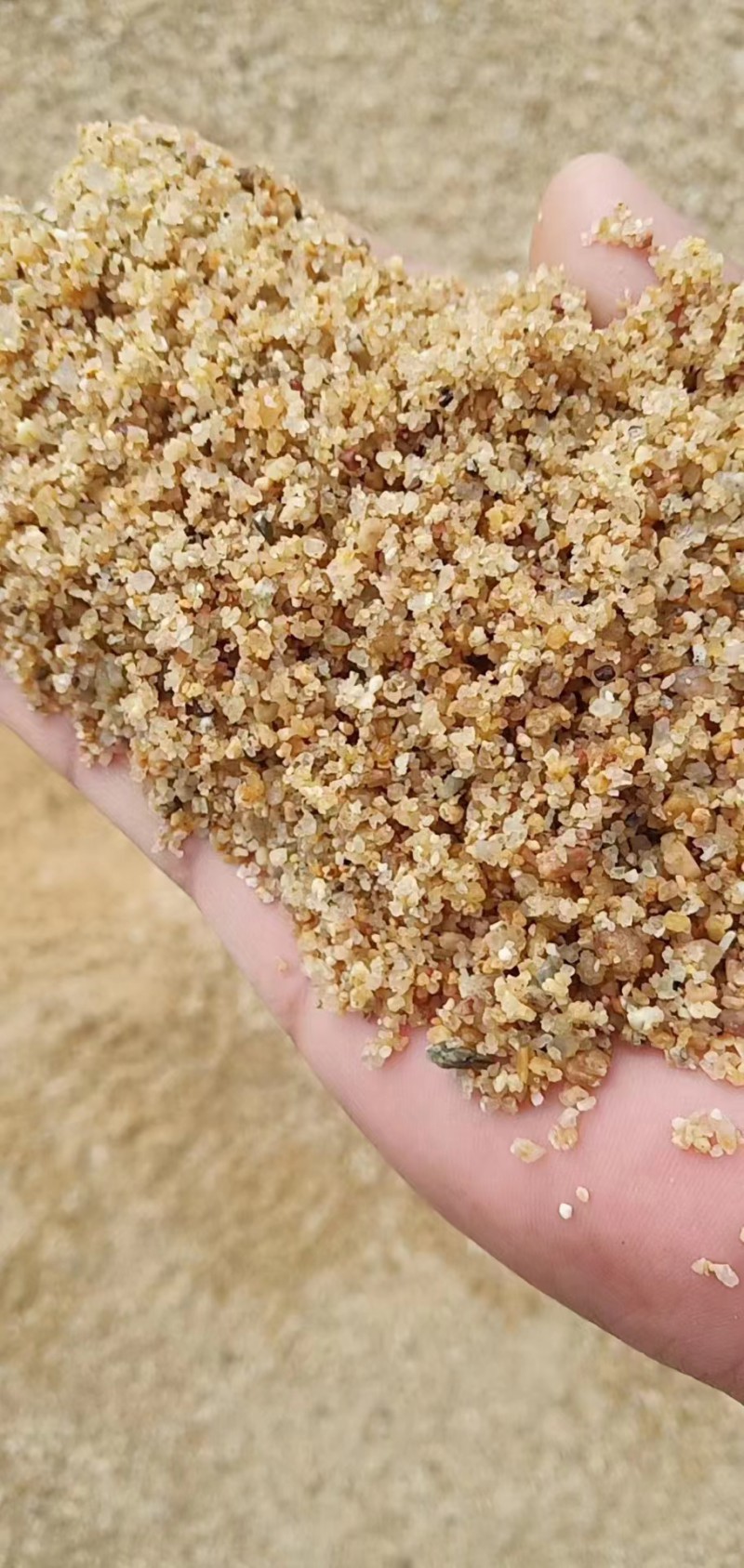 微信图片_20230613164902