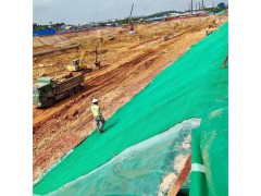 绿色格栅复合布装配式边坡防护图4