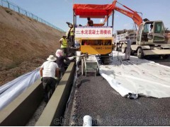 出售**C-5000出售/出租 滑模机、路缘机 水泥摊辅机图4