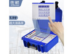 佐航DDW8111接地引下线导通测试仪锂电图4