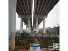 四川成都氯化橡胶漆/氯化橡胶涂料-油漆销售厂家图2