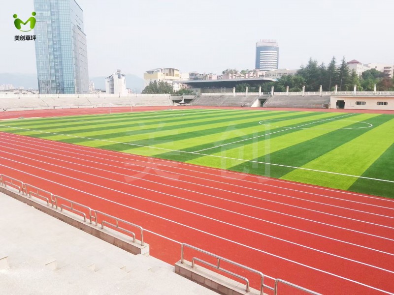 人造草坪、塑胶跑道生产厂家图4