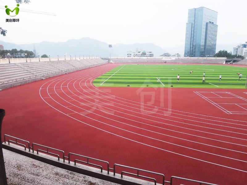 人造草坪、塑胶跑道生产厂家图5