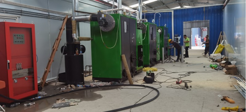 免监检生物质养护蒸汽机图3