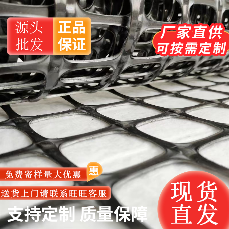 双向土工格栅图4